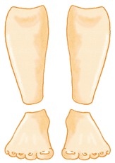 Körper-Unterschenkel-Fuß.pdf